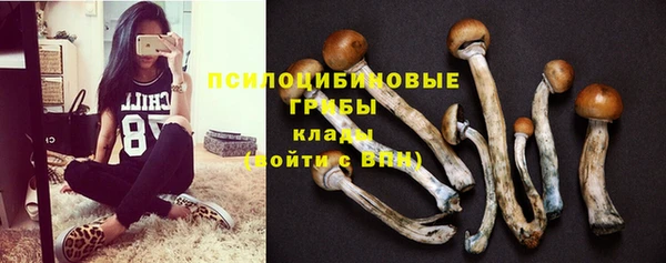 марихуана Абаза