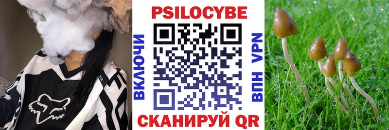 Псилоцибиновые грибы GOLDEN TEACHER Шлиссельбург